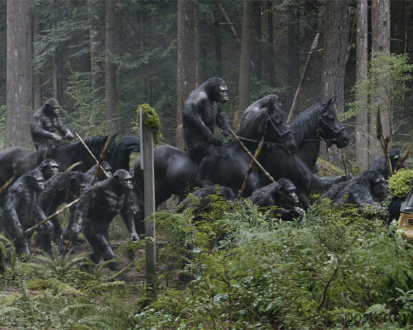 Planet of the Apes - A Passionate Quest for Justice
