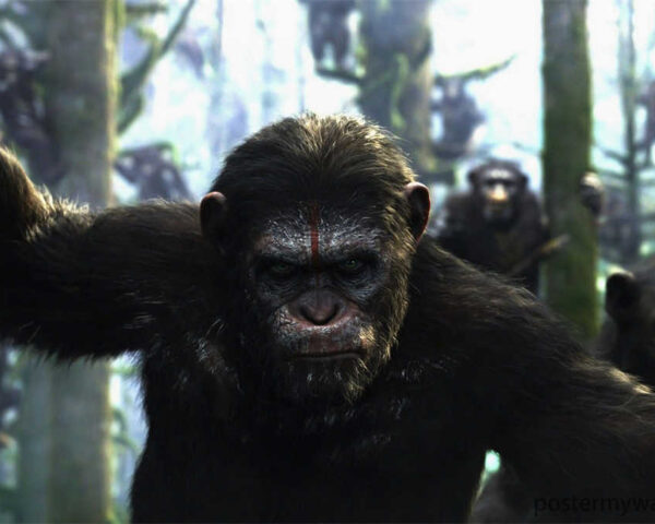 Planet of the Apes - A Passionate Tale of Rebellion