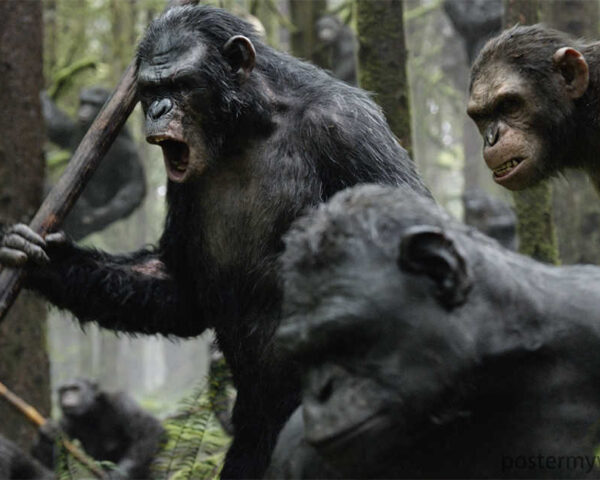 Planet of the Apes Passionate Evolution of Power