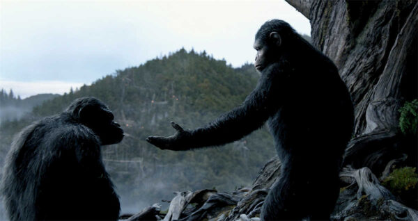 Planet of the Apes: The Evolutionary Leap!