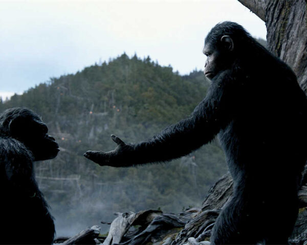 Planet of the Apes: The Evolutionary Leap!
