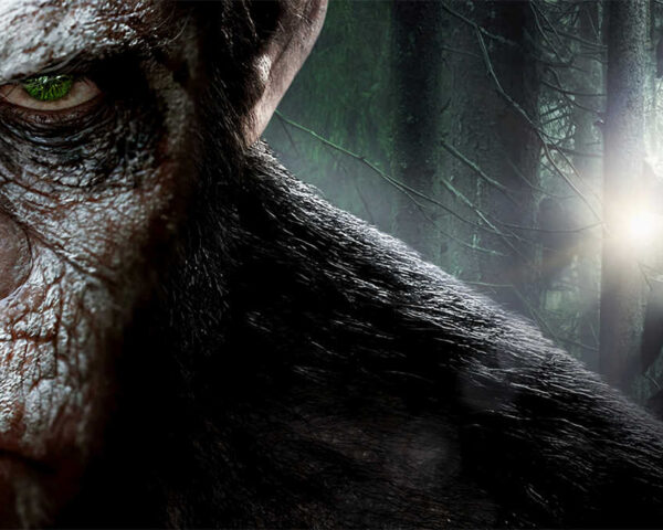 Planet of the Apes – A Spectacular Poster Showcase