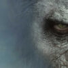 Clash of Titans: Planet of the Apes Epic Showdowns