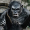 Planet of the Apes: A Revolutionary Franchise Redefines Science Fiction