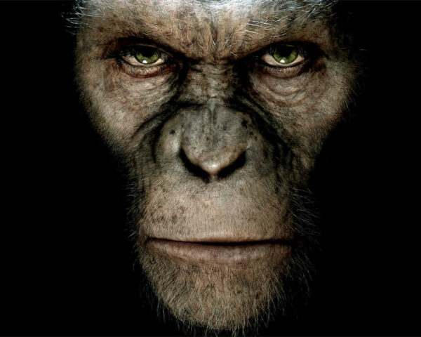 Planet of the Apes Enthralls New Generations