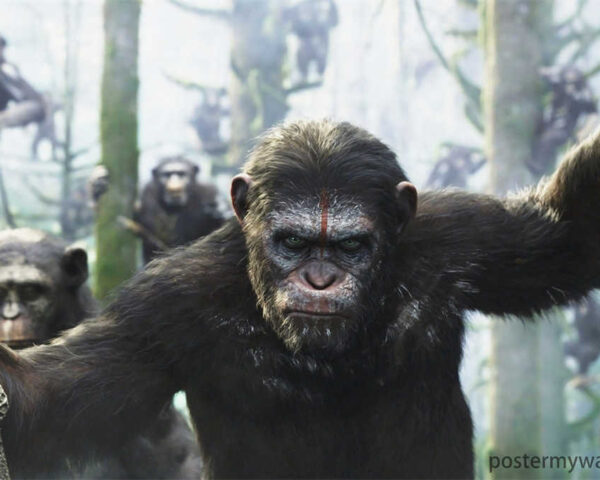 Planet of the Apes Inspires Courage and Hope