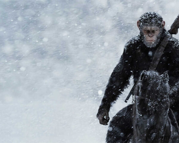 Planet of the Apes Spectacular Combat Scenes