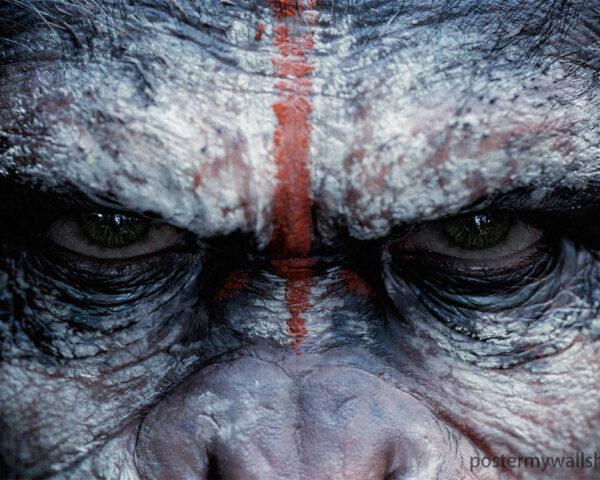 Meet Caesar: The Revolutionary Ape Who Defies Expectations