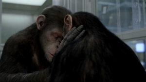 Caesar: The Catalyst of Change in Planet of the Apes