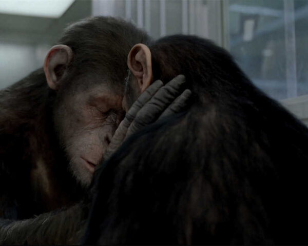 Caesar: The Catalyst of Change in Planet of the Apes