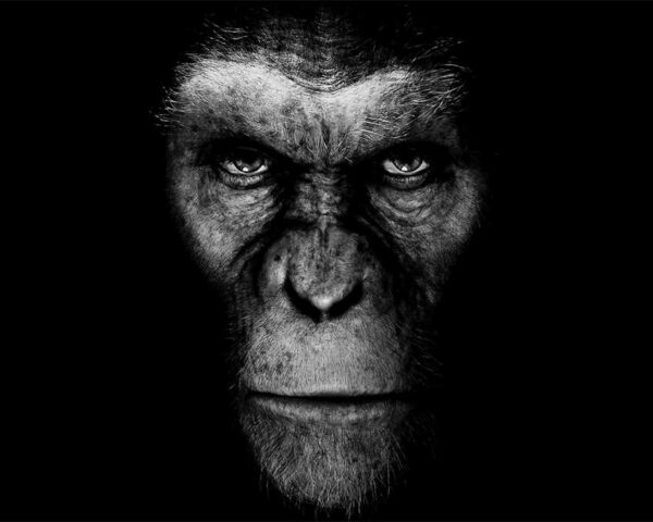 The Rise of Caesar: A Triumph in Planet of the Apes