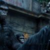 Planet of the Apes Explores Existential Questions