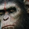 Planet of the Apes Tugs at the Heartstrings