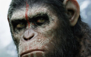 Planet of the Apes Tugs at the Heartstrings