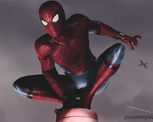 Swing into Action with Spider-Man: The Ultimate Hero!