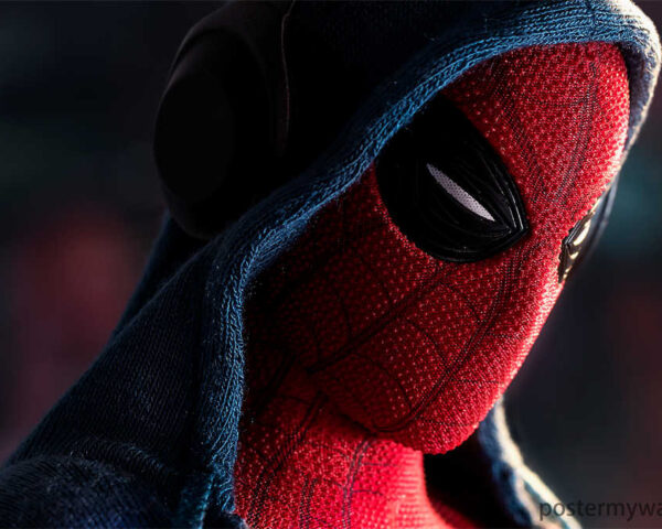 Spider-Man's Epic Journey Begins!