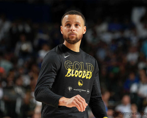 Stephen Curry: The Champion's Journey