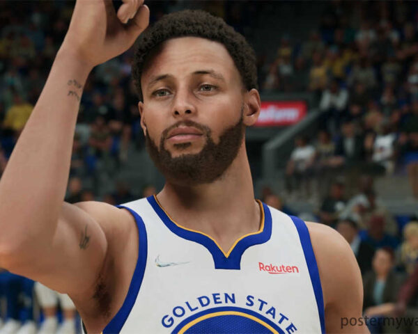 Stephen Curry: Unleashing a Poster Reigns Supreme