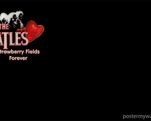 The Beatles Poster: An Ode to Musical Harmony and Brotherhood