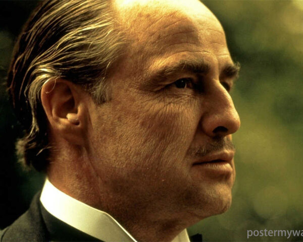 The Godfather: A Cinematic Journey into the Heart of the Mafia