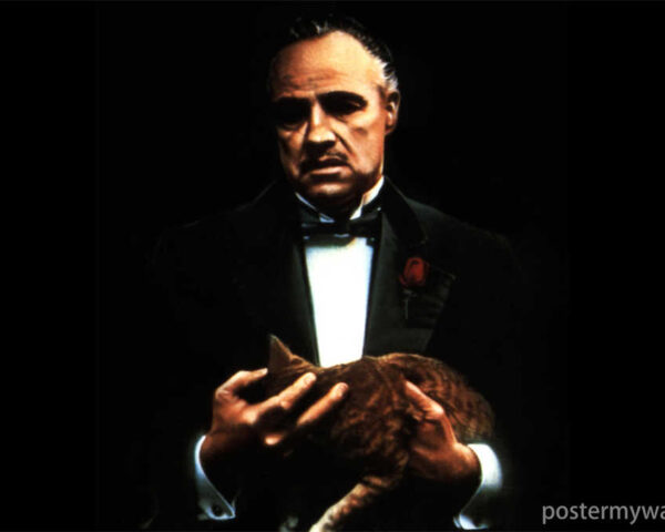 The Godfather Trilogy: From Desperation to Dominance