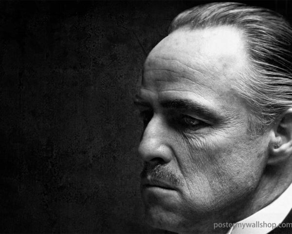 The Godfather: A Timeless Tale of Power and Family Bonds