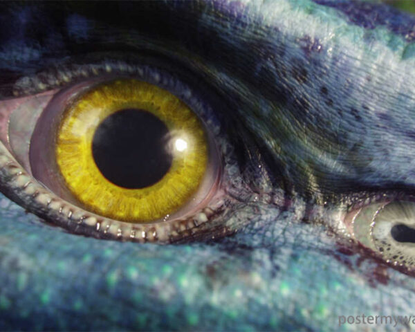 Avatar: Character Analysis - Trudy Chacon