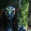 Avatar: Character Analysis - Dr. Max Patel's Avatar, Maya