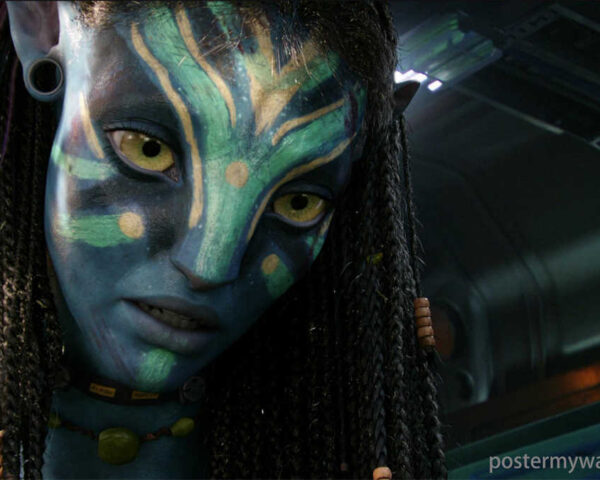 Avatar: The Complexity of Selfridge's Character