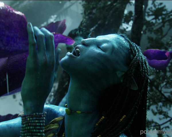 Avatar: A Triumph of World-Building and Imagination