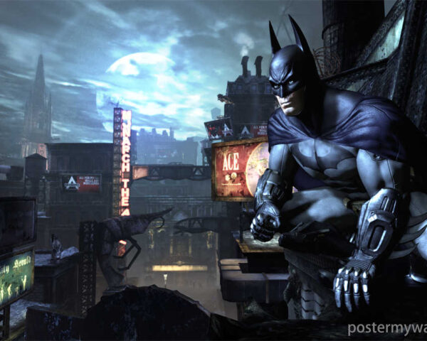 Batman: Guardian of the Night, Sentinel of Hope