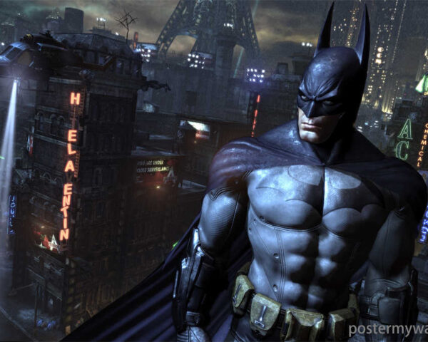 The Incomparable Batman: A Superhero of Extraordinary Merit