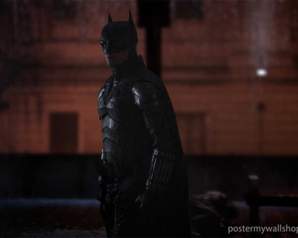 Batman: The Hero Who Exemplifies the Triumph of the Human Spirit