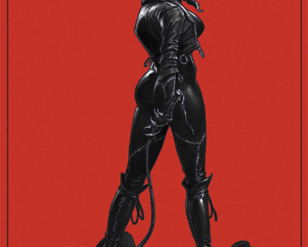 The Batman: Unleashing Gotham's Dark Protector