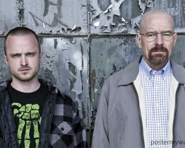 Breaking Bad: An Unforgettable Saga of Survival