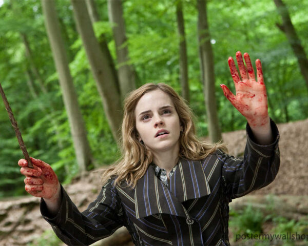 Harry Potter: Unleashing the Magic Within