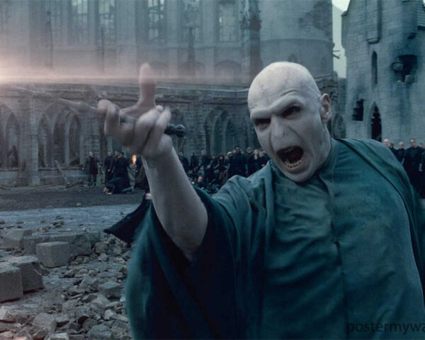 Harry Potter: A Journey through Magic and Destiny