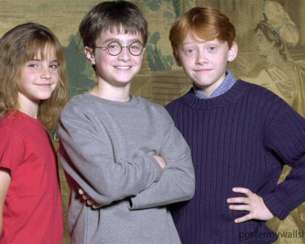 Harry Potter: The Boy Who Lived and Inspired Generations