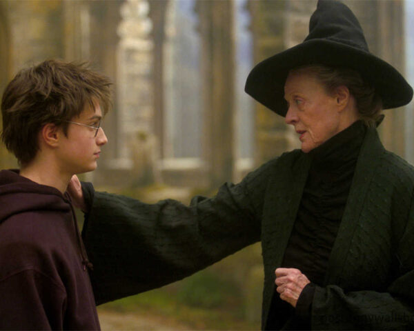Harry Potter and the Order of the Phoenix: Unleashing the Rebellion