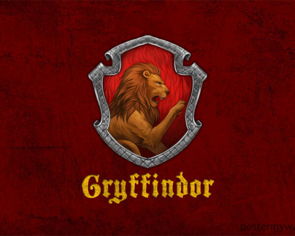 Harry Potter Films: Unraveling the Secrets of a Magical Universe