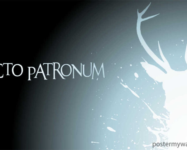 Harry Potter Films: Exploring a World of Magic and Adventure