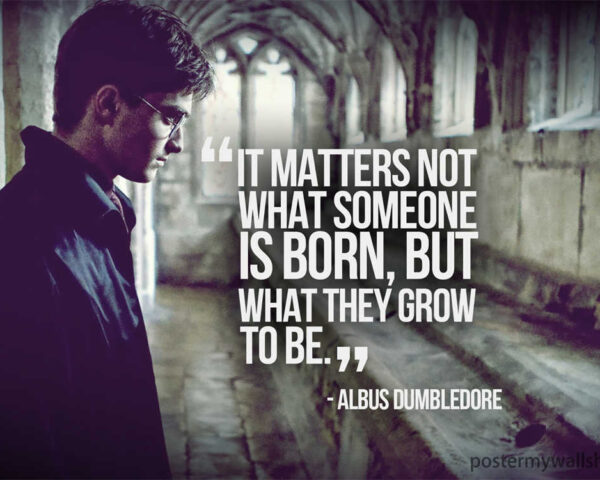 The Magic of Harry Potter: A Cinematic Journey through Wizardry