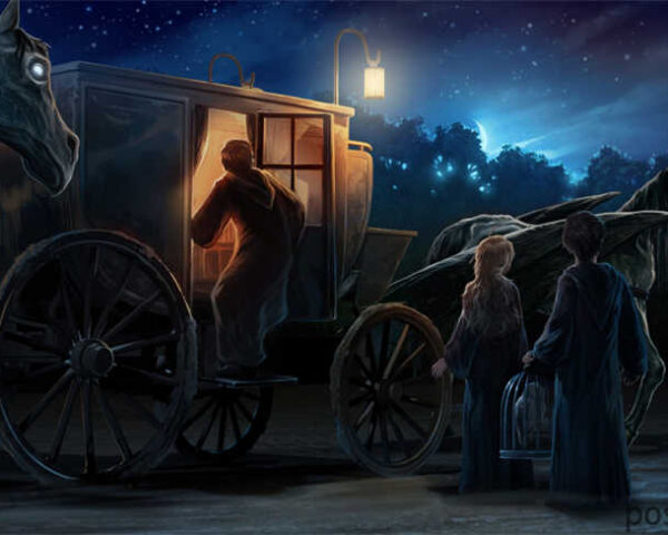 Harry Potter Films: A Legacy of Adventure and Imagination