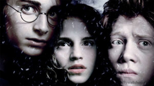 Harry Potter Film Series: A Phenomenon of Imagination and Wonder