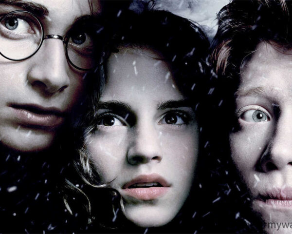 Harry Potter Film Series: A Phenomenon of Imagination and Wonder