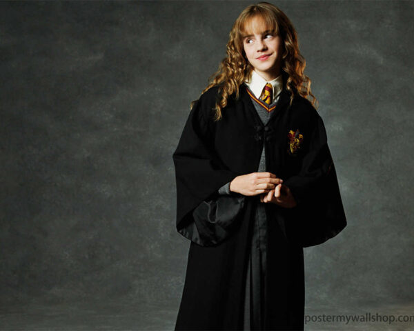 Harry Potter: A Cinematic Masterpiece of Adventure and Enchantment