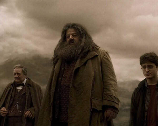 Harry Potter Movies: Unveiling the Mysteries of a Magical Legacy