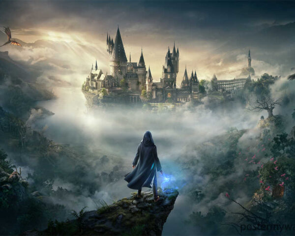 Harry Potter Films: An Extraordinary Tapestry of Magic and Friendship