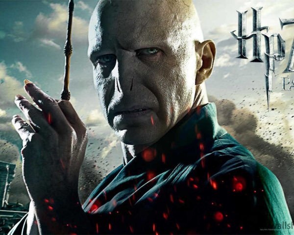 Harry Potter Movies: A Magical Symphony of Adventure and Emotion