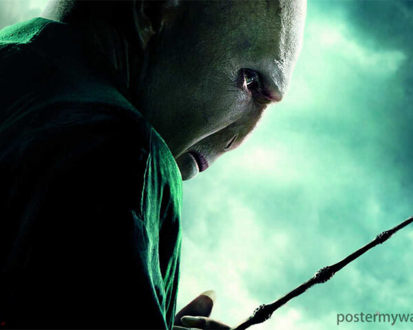 Harry Potter on Screen: The Spellbinding Legacy of a Generation